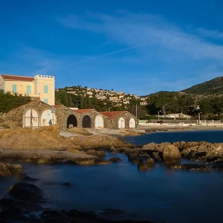2 Pieces Confortable Au Lavandou 34m² + Terrasse, A 800m De La Plage, 4 Personnes. - Fr-1-803-17 Apartment